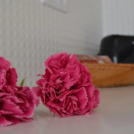 Rockinn Porto Апартаменты *