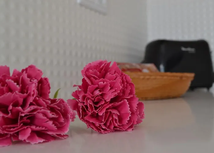 Rockinn Porto Apartmán *